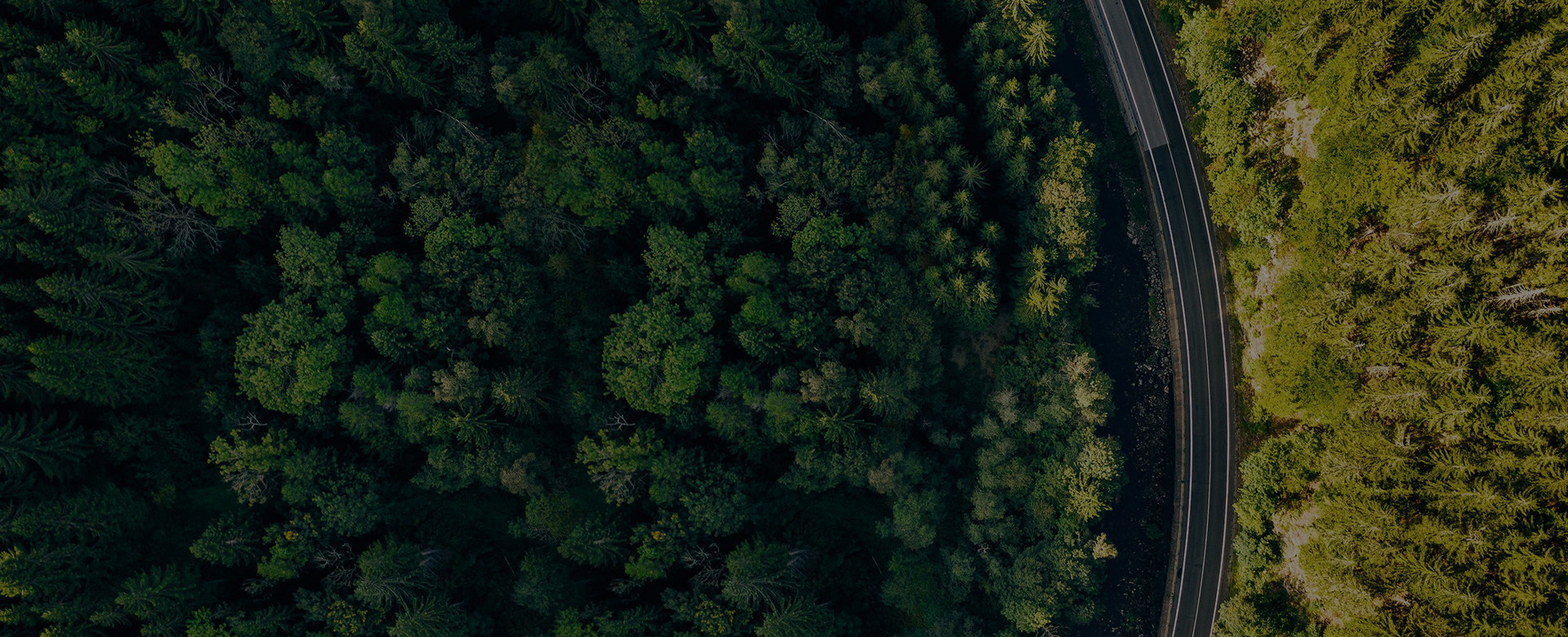 Sustainable Finance